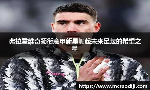 弗拉霍维奇领衔意甲新星崛起未来足坛的希望之星