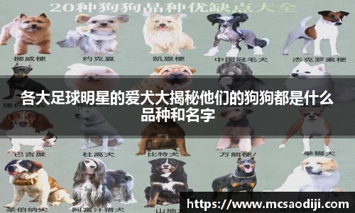 各大足球明星的爱犬大揭秘他们的狗狗都是什么品种和名字